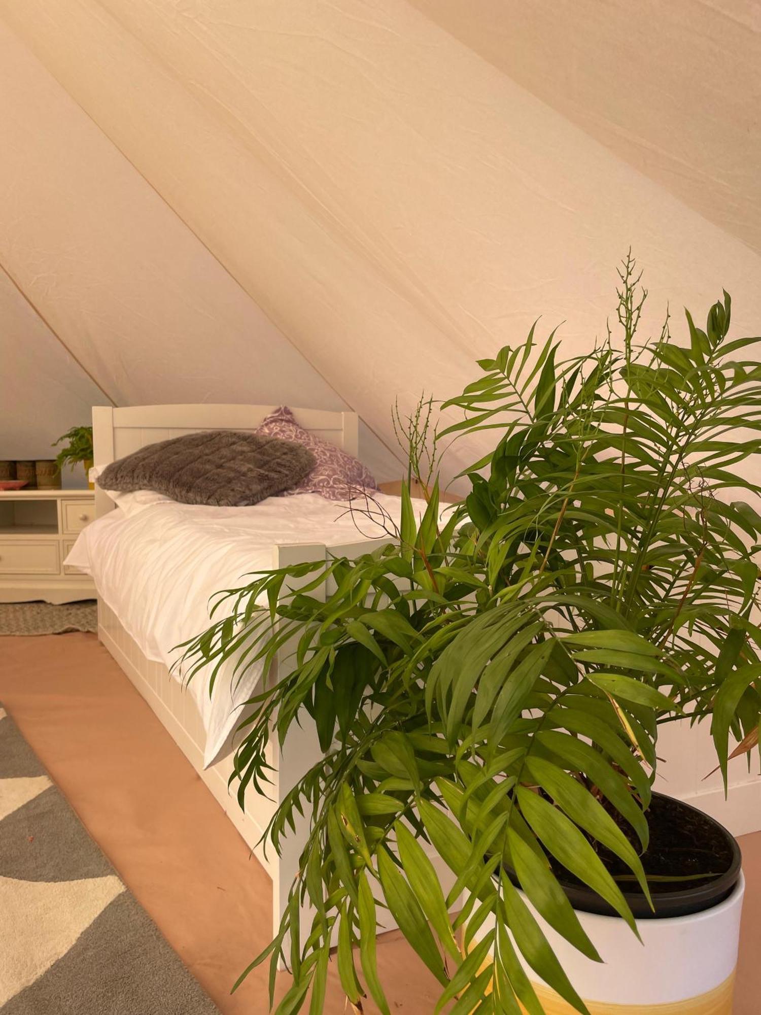 Trevena Cross Glamping & Camping Helston Luaran gambar
