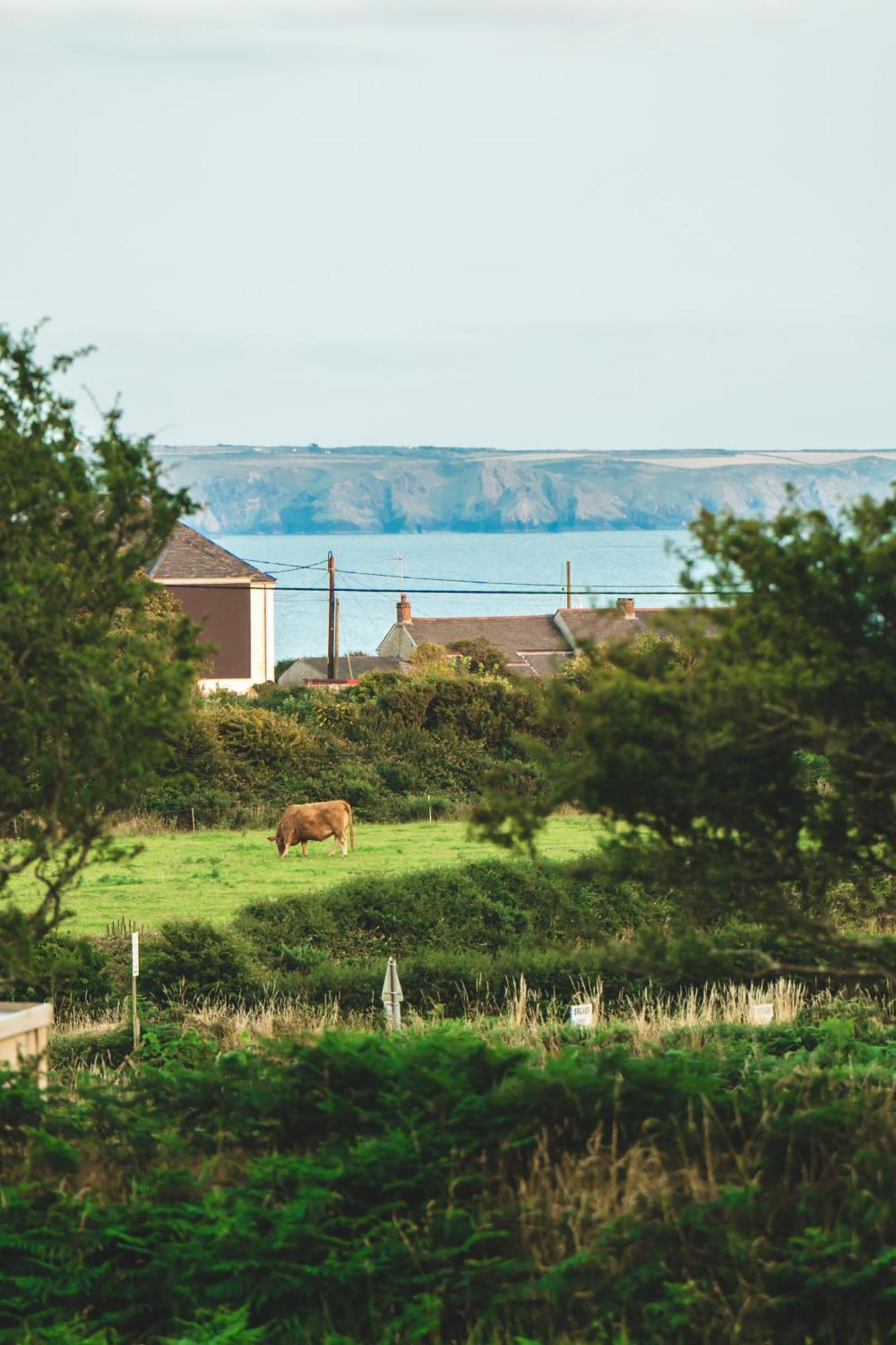 Trevena Cross Glamping & Camping Helston Luaran gambar