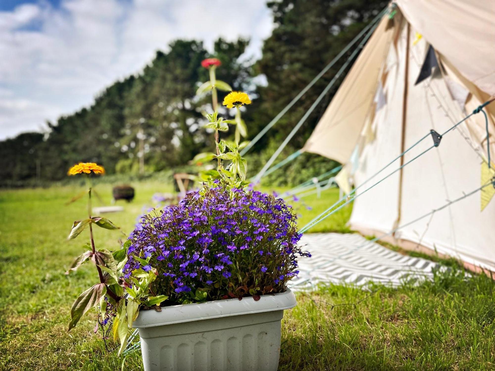 Trevena Cross Glamping & Camping Helston Luaran gambar
